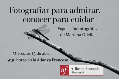 imagen_488